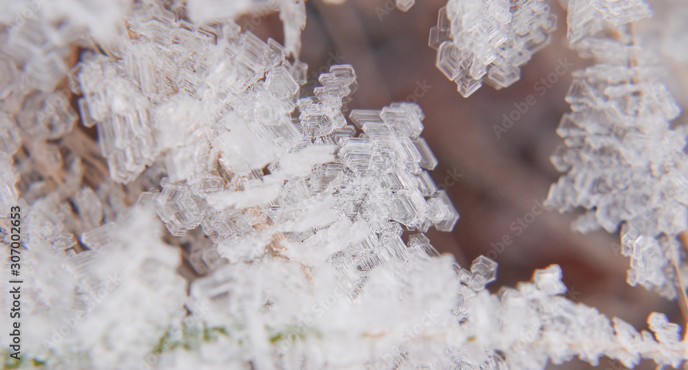 Cold morning outdoors in winter with frozen ice cubes of snow on dry yellow grass