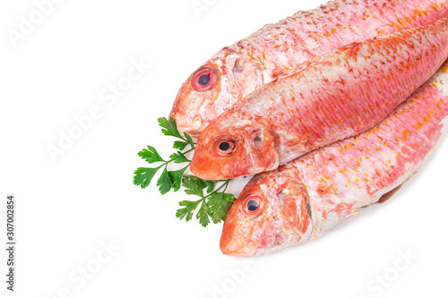 natural raw fish isolated on white background, salmon or mullets