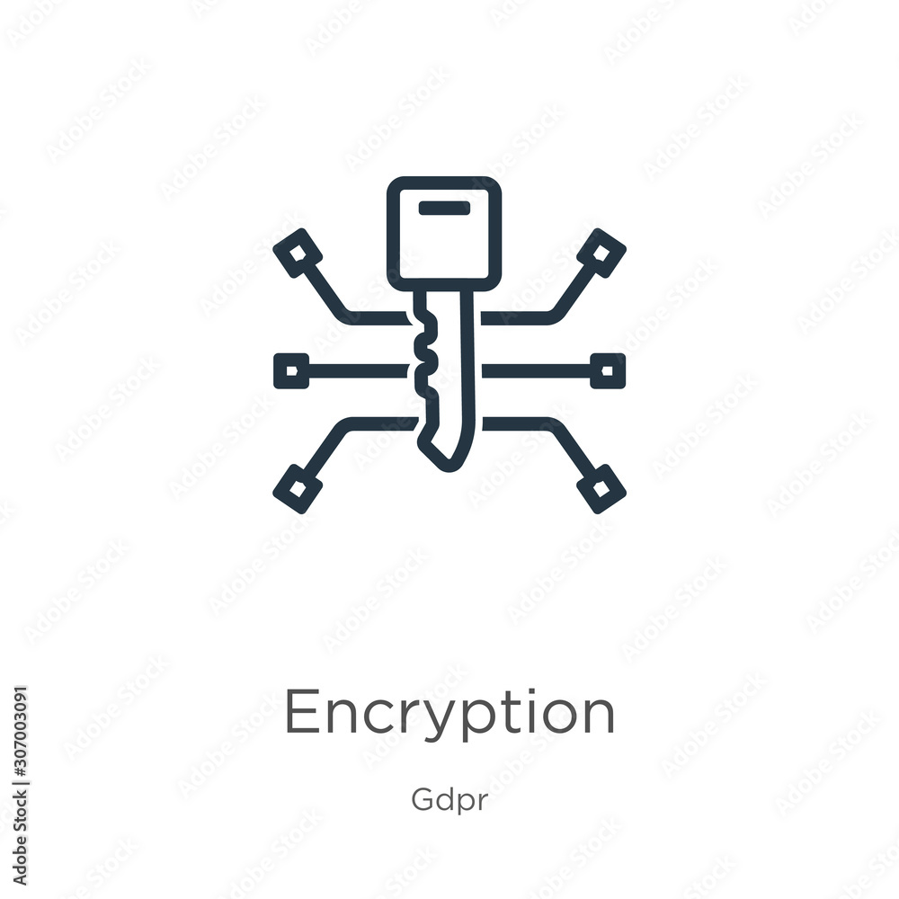 Encryption icon. Thin linear encryption outline icon isolated on white background from gdpr collection. Line vector encryption sign, symbol for web and mobile Encryption icon. Thin linear encryption outline icon isolated on white background from gdpr collection. Line vector encryption sign, symbol for web and mobile