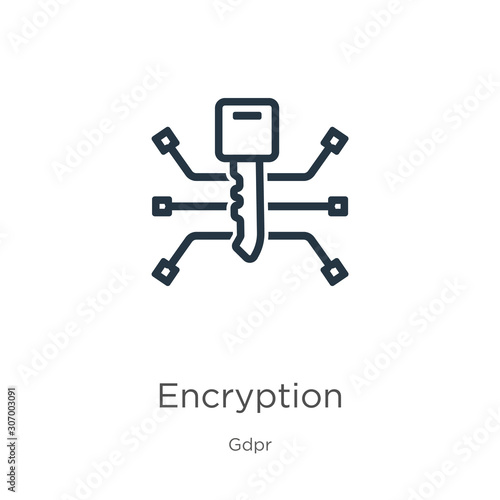 Encryption icon. Thin linear encryption outline icon isolated on white background from gdpr collection. Line vector encryption sign, symbol for web and mobile