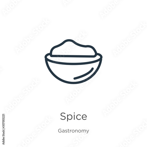 Spice icon. Thin linear spice outline icon isolated on white background from gastronomy collection. Line vector spice sign, symbol for web and mobile