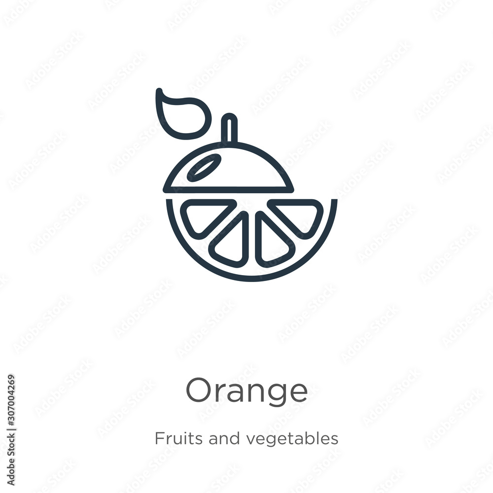 Fototapeta premium Orange icon. Thin linear orange outline icon isolated on white background from fruits collection. Line vector orange sign, symbol for web and mobile