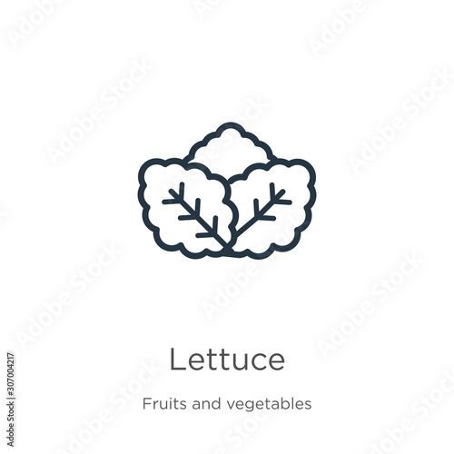 Lettuce icon. Thin linear lettuce outline icon isolated on white background from fruits collection. Line vector lettuce sign, symbol for web and mobile