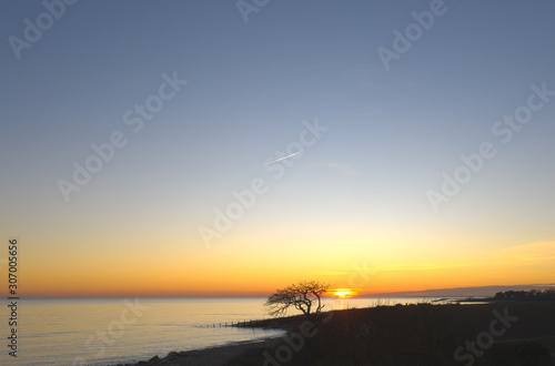 Beautiful sunset as the sun sinks below the horizon behind an old tree on the coastline of southern England.