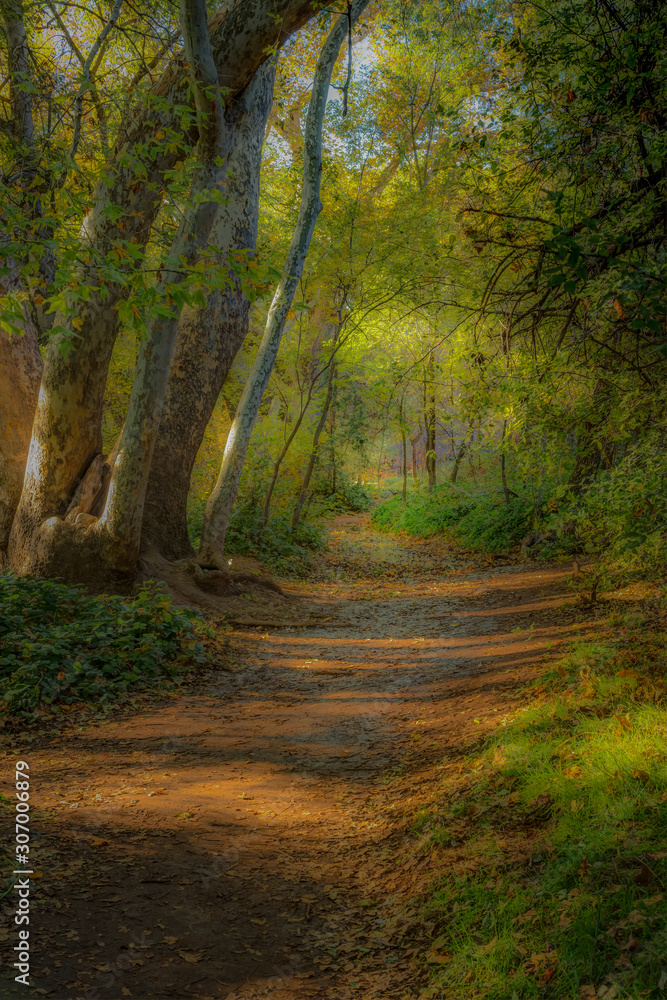 Fall for Planet Sedona Fall for Planet Sedona