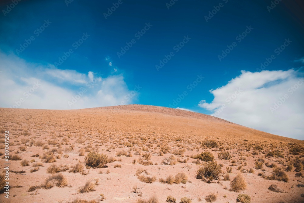 Naklejka premium Bolivia