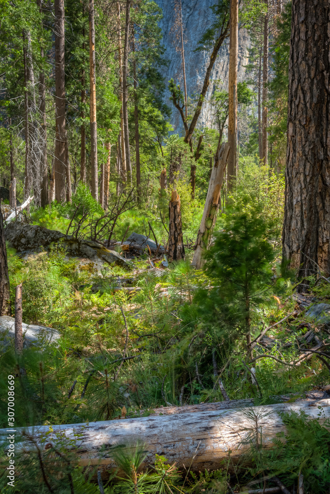 Beautiful Eastern Sierra’s from June Lake to Lake Tahoe Beautiful Eastern Sierra’s from June Lake to Lake Tahoe