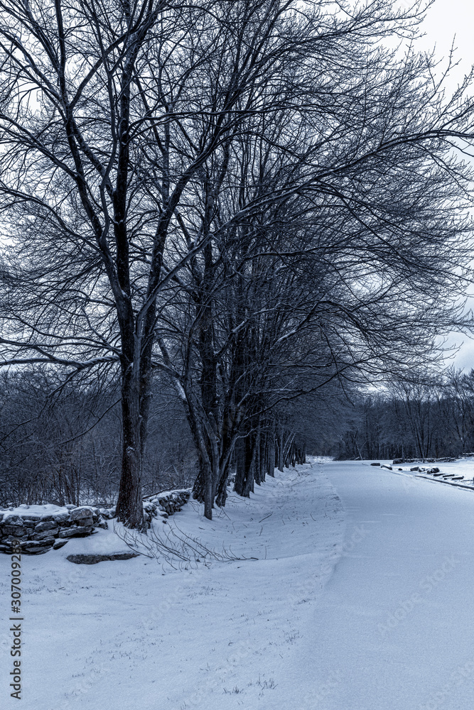 winter landscape with trees and road winter landscape with trees and road