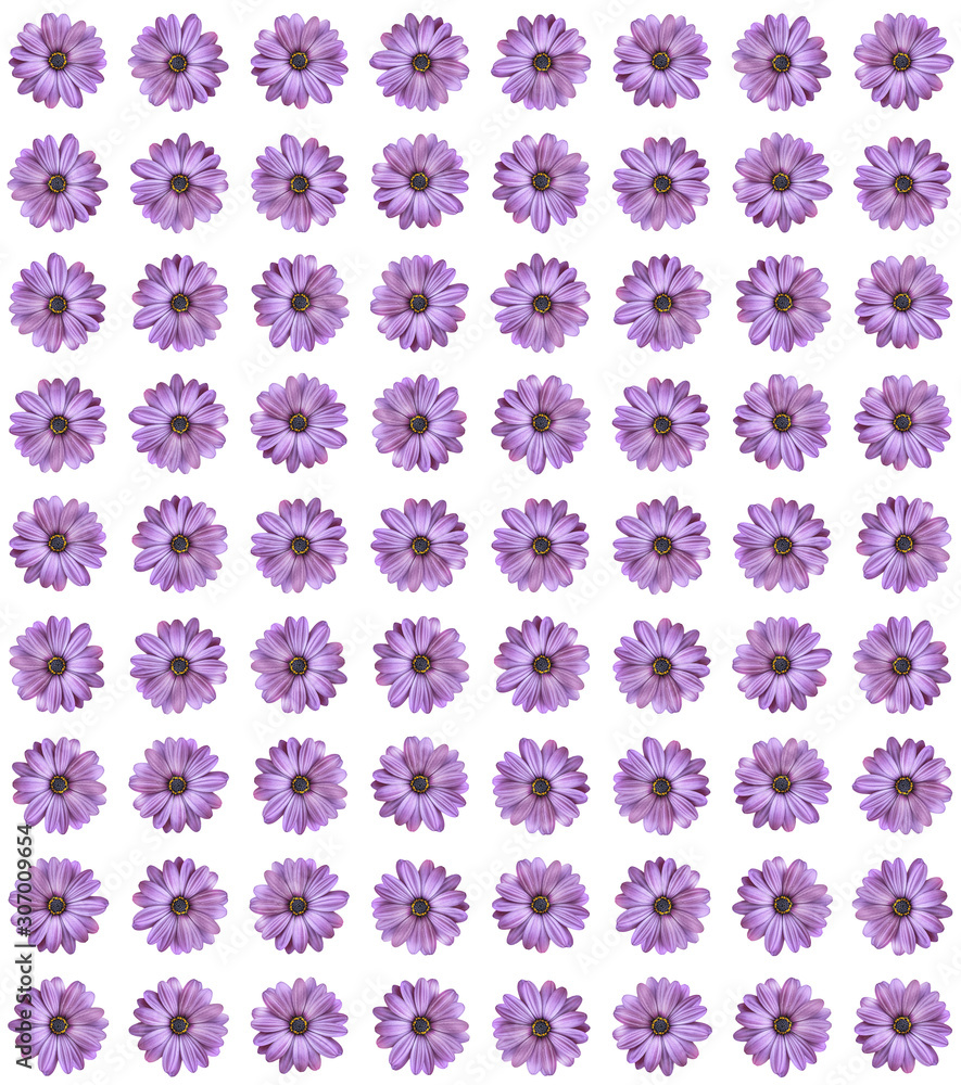 Trendy Floral pattern in the many kind of flowers. Print. Tropical botanical Motifs. Seamless vector texture. Printing with in hand drawn style.White background. Trendy Floral pattern in the many kind of flowers. Print. Tropical botanical Motifs. Seamless vector texture. Printing with in hand drawn style.White background.