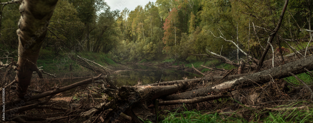 Hunting in the forest Siberia Hunting in the forest Siberia