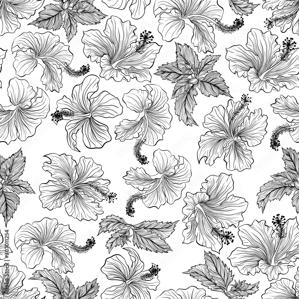Floral seamless pattern. Vector line art illustration with hibiscus flowers. Hand drawn pattern isolated on white background. 