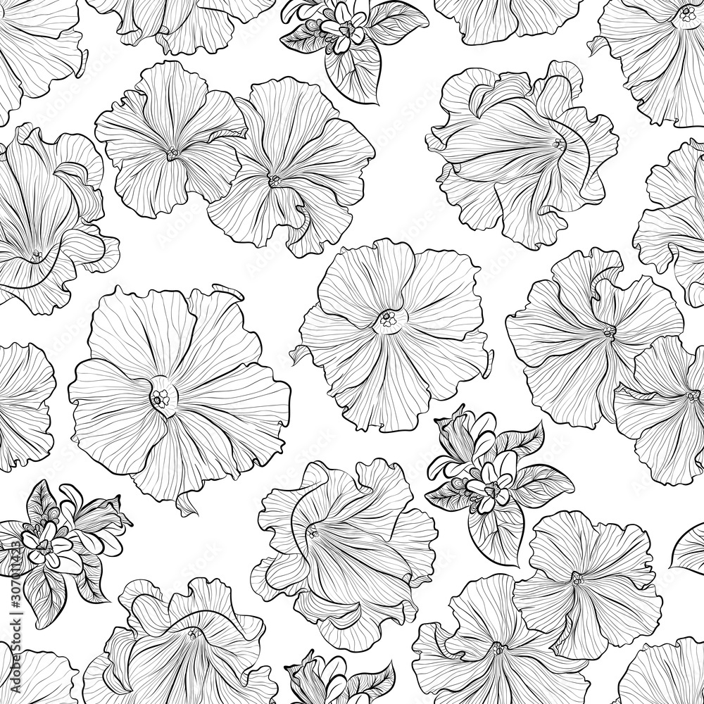 Floral seamless pattern. Vector line art illustration with petunia ...