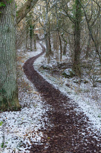 Fototapeta Naklejka Na Ścianę i Meble -  Winding footpath with the first snow