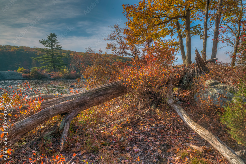 Fototapeta premium Harriman State Park