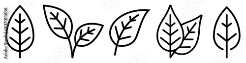 Leaf simple icon set. Vector