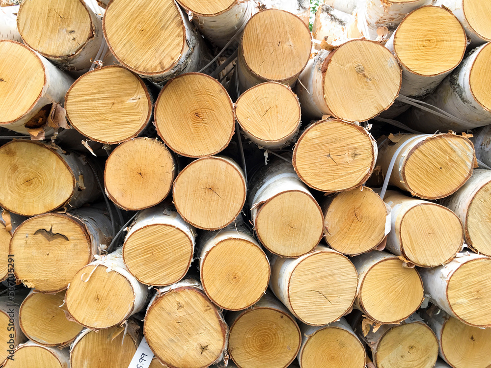 Fototapeta premium Photo of stacked cut birch tree logs, lumbered wood, forested trees