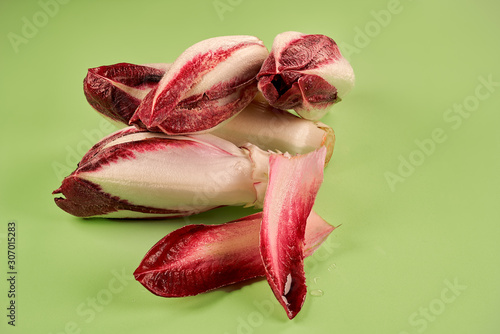 Belgian red endives or witloof isolated on greenish background