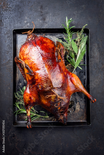 Traditional roasted stuffed Christmas Peking duck with herbs as top view on a board