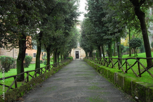 Italian tree-lined pathway