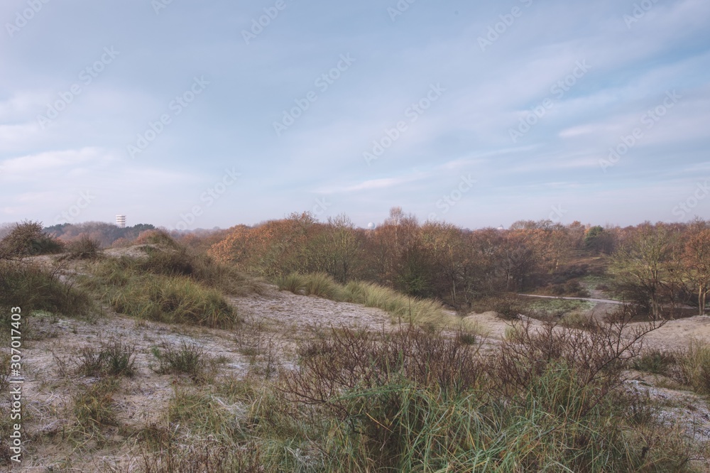 Dunes and forest called Meyendel in The Hague in winter with frost and sunrise