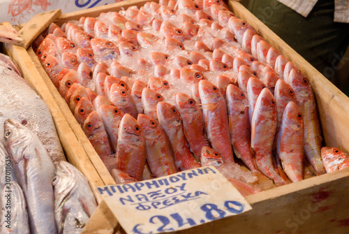 fresh fish stung in the ice in Varvakios Agora market in Athens Greece