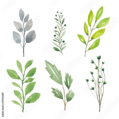 Set of green leaf element in watercolor illustration