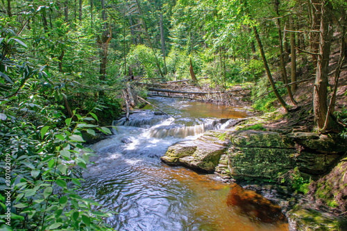 Meandering Brook