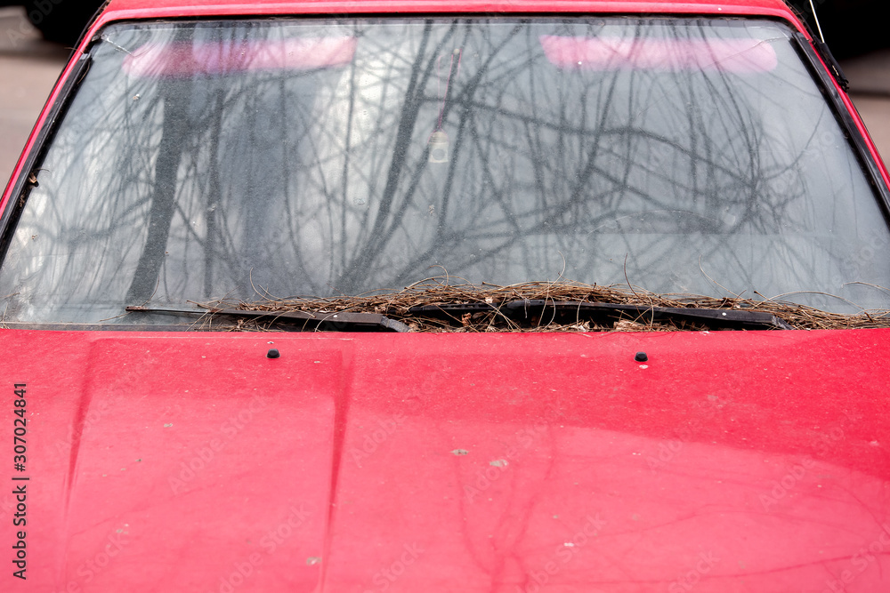 Obraz premium dirty car front view on the windshield with faulty car wipers in the dust and debris from the trees, close up of red car.