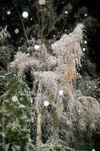 First snowfall captured during a night-time walk on my street