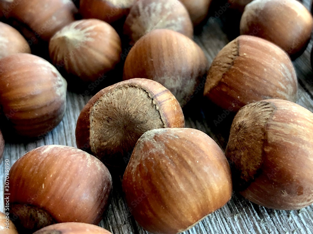hazelnuts on wooden background hazelnuts on wooden background