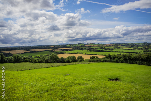 Collection of Landscapes