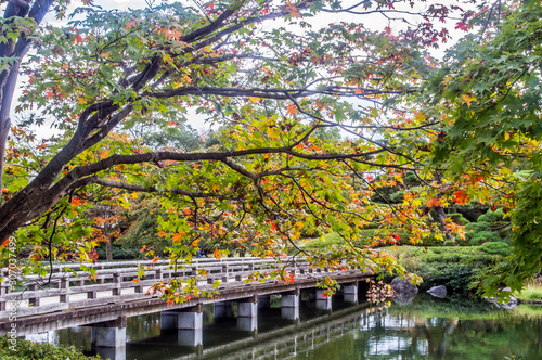 Japanese Landcapes