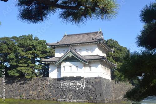 Japanese Palace