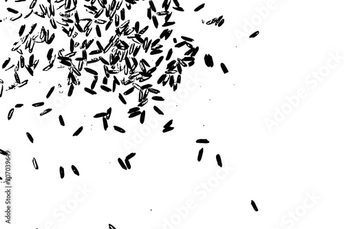 White rice random pattern background. Rice seeds on white background. Silhouette of flakes, spread on the flat surface or table. Top view. Vector.