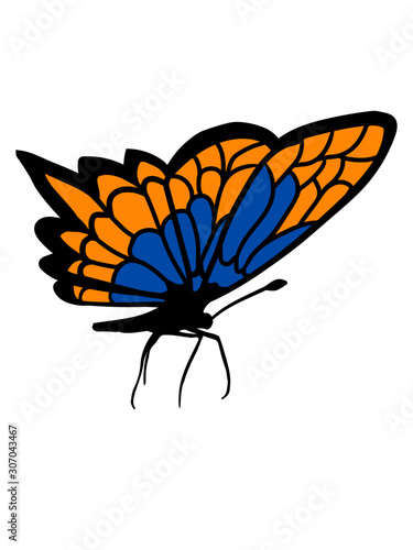 Schmetterling seitlich Design fliege
