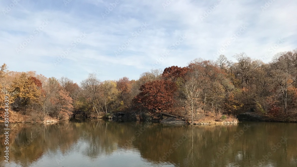 autumn landscape with lake and trees