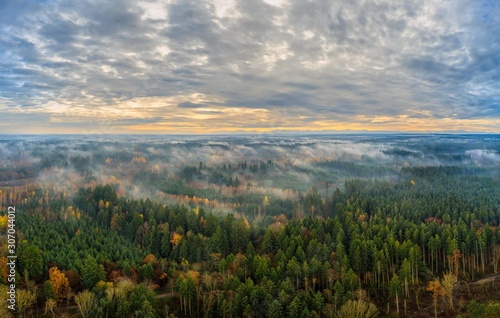 Foggy morning as an aerial above a autumn colored forest.