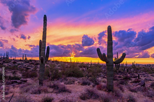 Desert Sunset Landscape In North Scottsdale, AZ