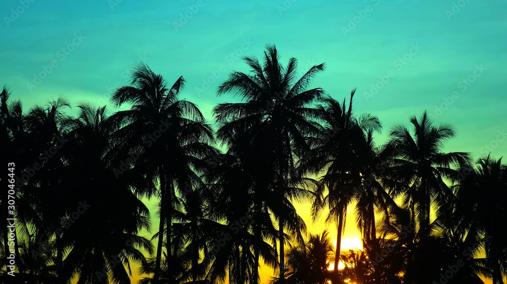 silhouette of coconut tree with sunset and the sky on the beach for background 