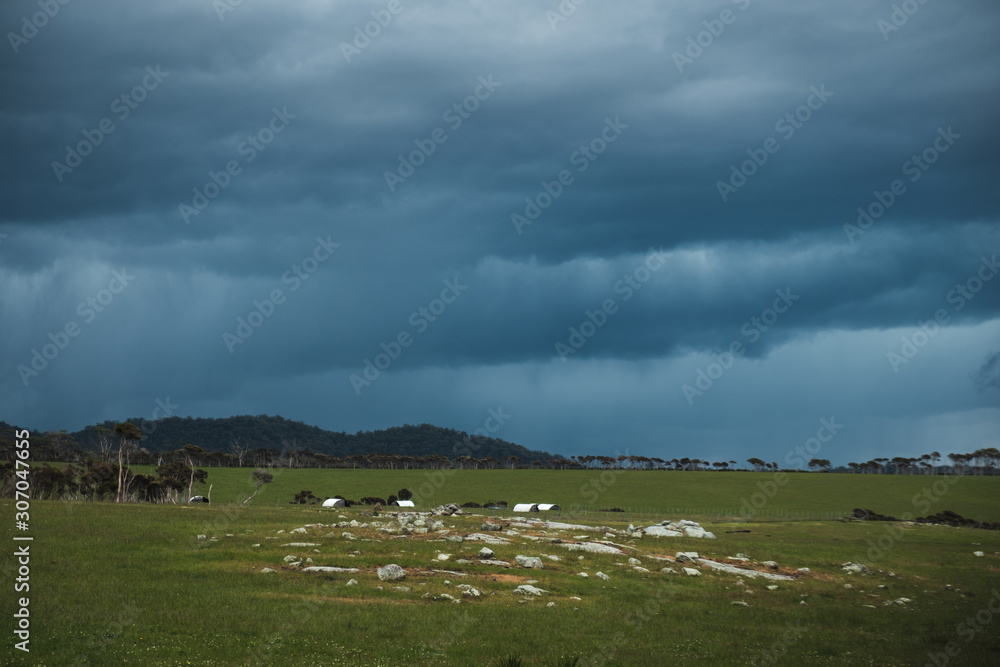 Tasmanian nature before storm