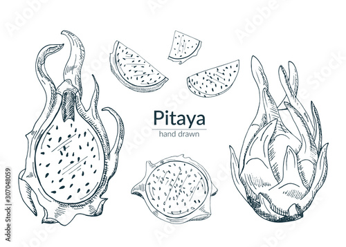 Pitaya whole, cut, half. A set of isolated elements in monochrome. Vector illustration, sketch.