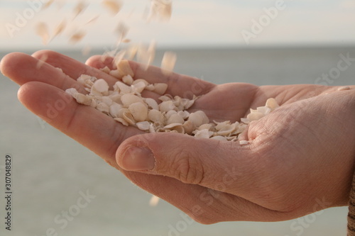 shells in hand