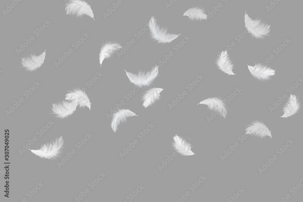 Fototapeta premium Soft white feathers falling down in the air