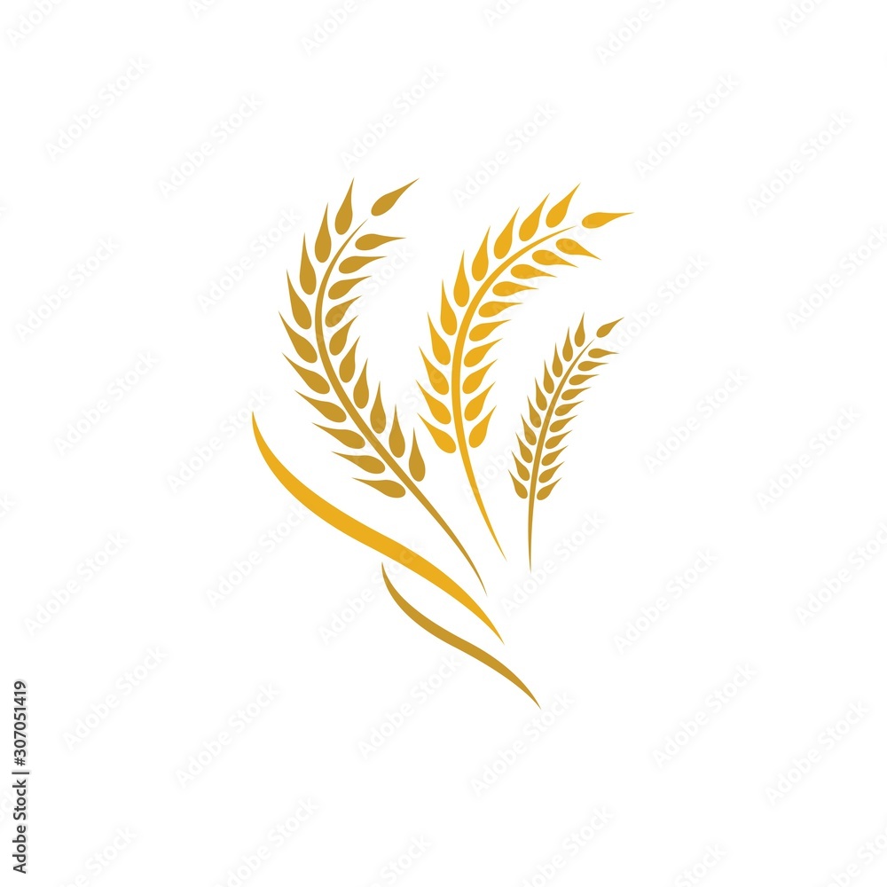 Wheat logo vector icon Wheat logo vector icon