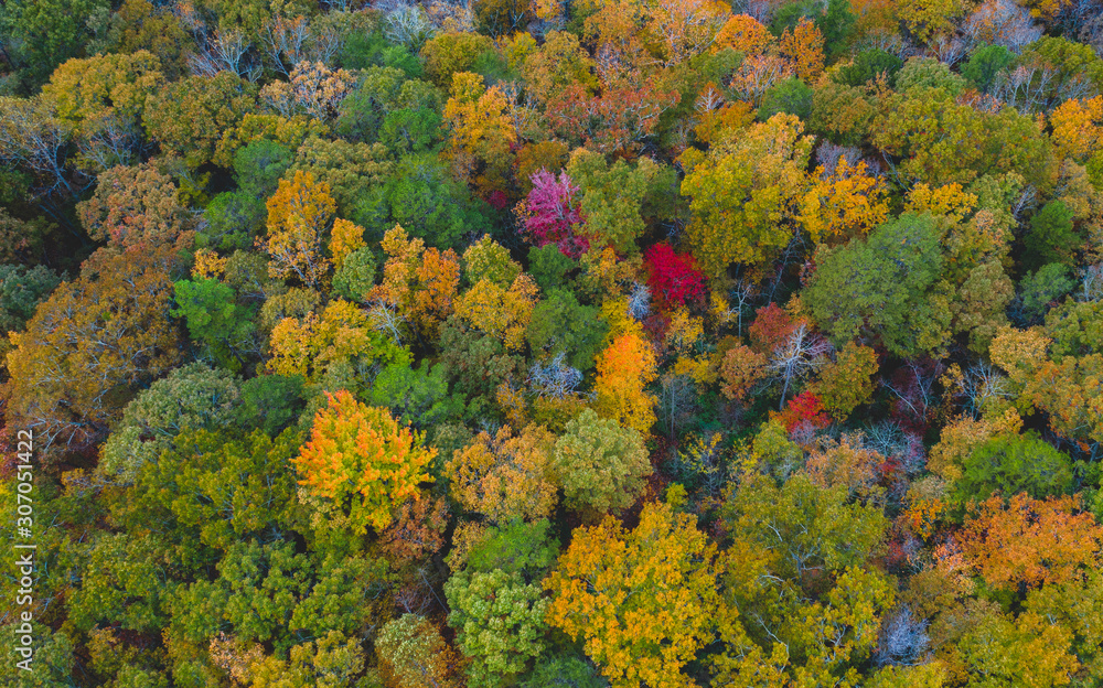 Fall Colors Fall Colors