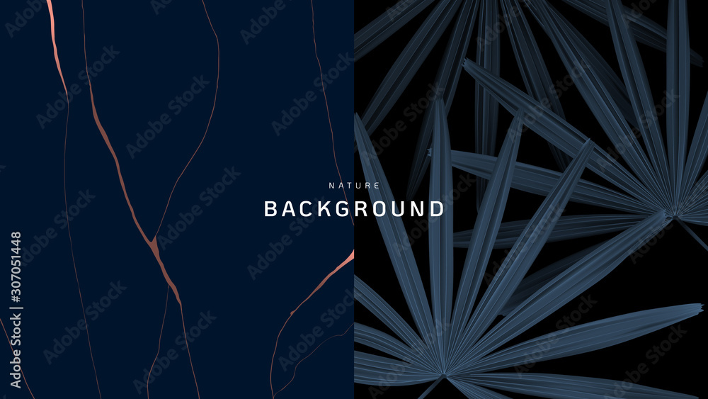 Fototapeta Nature background, Rhapis excelsa leaves and marble ink texture in dark blue tone