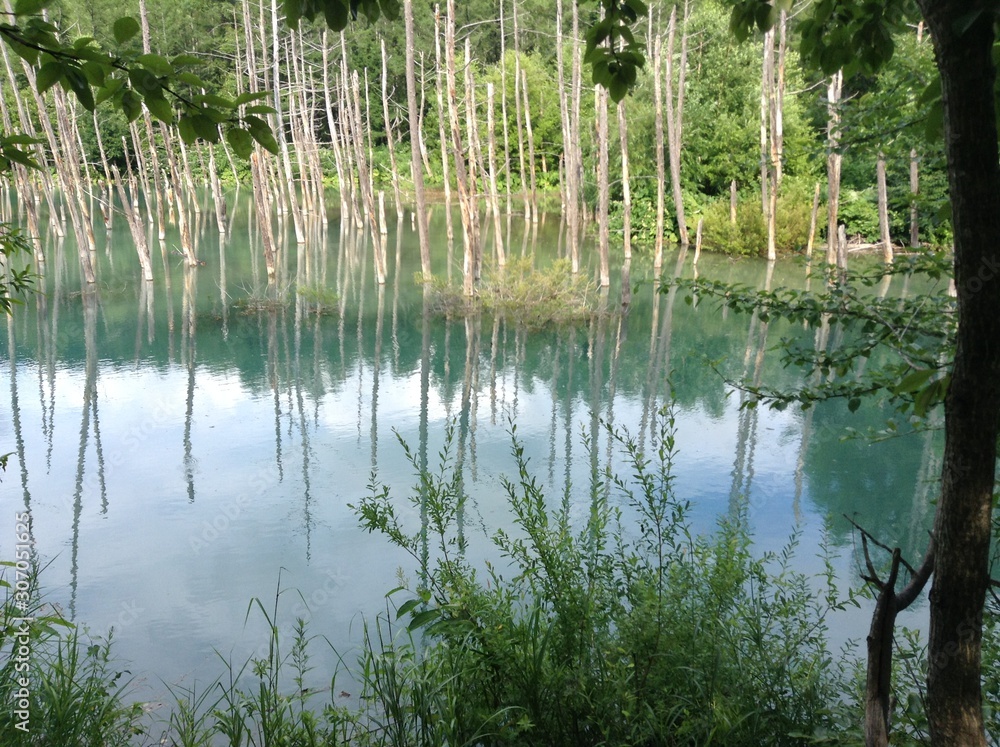 Japan,Hokkaido lake 日本　北海道　湖