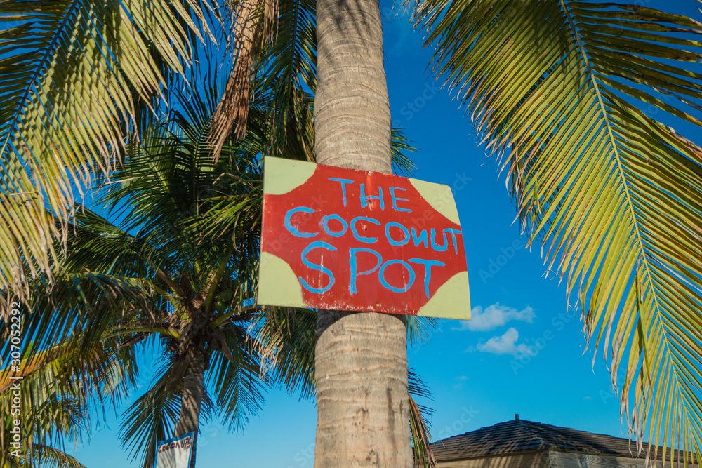 Coconut Spot Coconut Spot