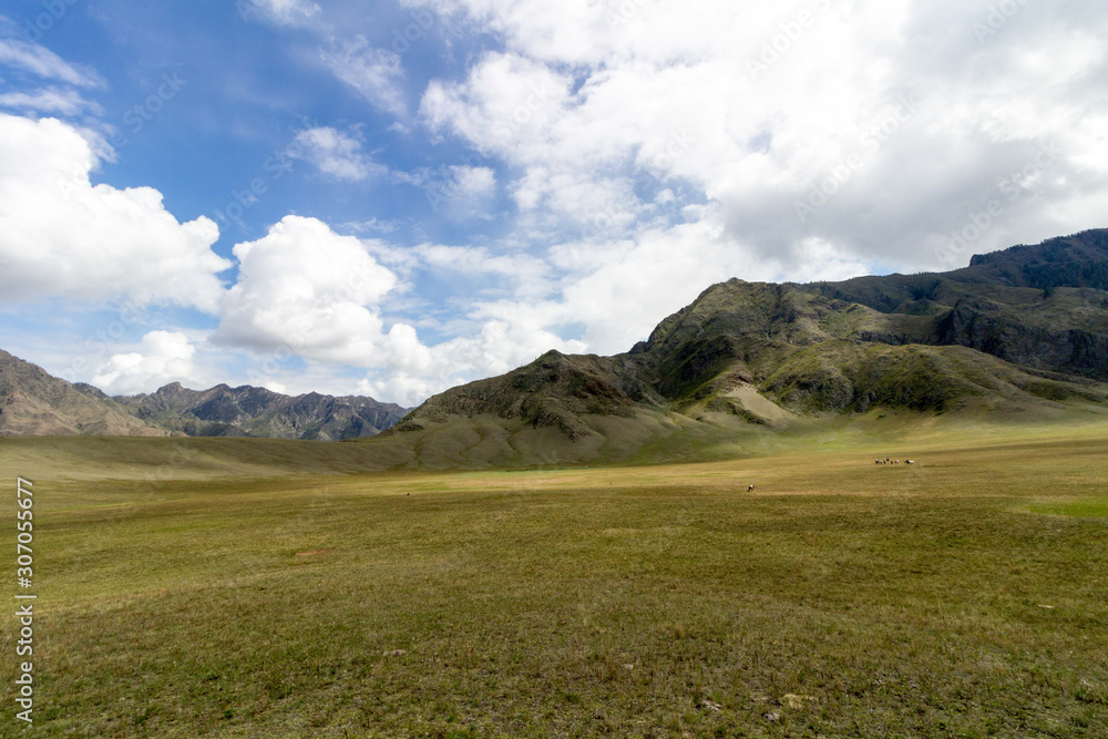 Fototapeta premium landscape with mountains and clouds