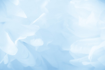 Beautiful abstract color blue and white flowers background and blue flower frame and pink and blue leaves texture background, blue background